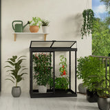 Canopia by Palram Ivy 4 ft. x 2 ft. Mini Greenhouse Kit product image 2