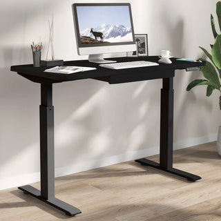 Motionwise 121.9 cm x 61 cm (48 in. x 24 in.) Height Adjustable Desk