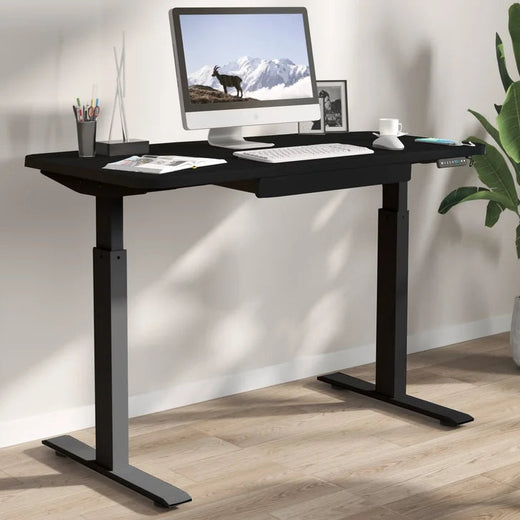 Motionwise 121.9 cm x 61 cm (48 in. x 24 in.) Height Adjustable Desk