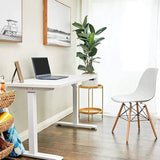 Motionwise 121.9 cm x 61 cm (48 in. x 24 in.) Single Motor Height Adjustable Desk product image 1