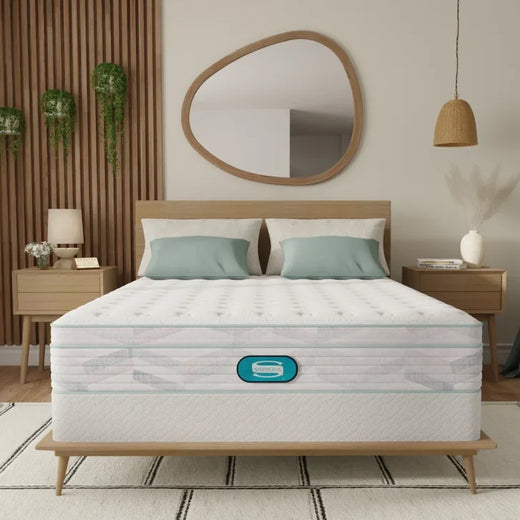 Simmons Bowman 27.9 cm (11 in.) Mattress or Set