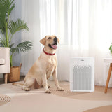 Winix C545 Air Purifier with True HEPA Filter Set product image 6