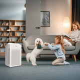 Winix C545 Air Purifier with True HEPA Filter Set product image 7